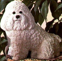 BICHON FRISE ADULT DOG FIGURINE - 
01025