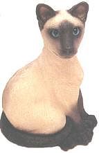 SEAL POINT SIAMESE CAT BANK