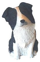 BORDER COLLIE DOG BANK
