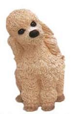 APRICOT POODLE DOG BANK