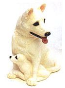 WHITE SHEPHERD DOG BANK