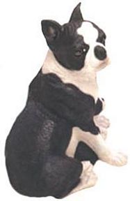 BOSTON WITH PUPPY TERRIER DOG BANK