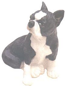 BOSTON WITH PUPPY TERRIER DOG BANK
