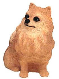 ORANGE POMERANIAN DOG BANK