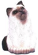COLOURPOINT SITTING LONGHAIR CAT BANK