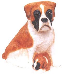 Boxer Dog Bank