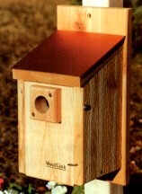 BLUEBIRD BIRDHOUSE