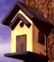 DESIGNER BLUEBIRD HOUSE