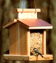 Double Hanging Bird Feeder