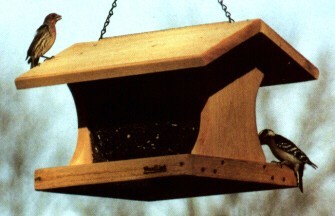 Professional Feeder #3