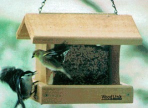 Professional Bird Feeder #5