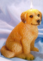 Golden Retriever Candle