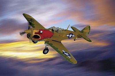 P-40N WARHAWK ARMY PILOT CLASS 43-K DIE-CAST METAL SCALE MODEL - ARMOUR COLLECTION BY THE FRANKLIN MINT