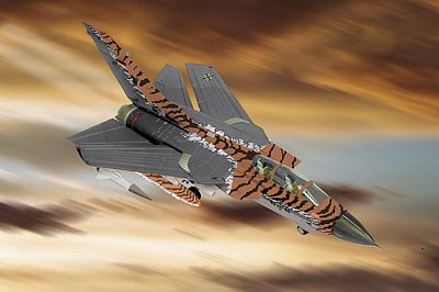 TORNADO ECR TIGERMEET 2001/2002 DIE-CAST METAL SCALE MODEL - ARMOUR COLLECTION BY THE FRANKLIN MINT