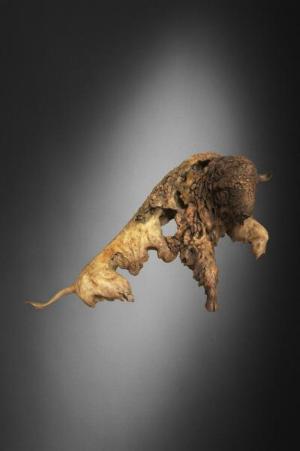 BUFFALO NATION MILL CREEK STUDIOS LIMITED EDITION WALL SCULPTURE BY RANDALL READING