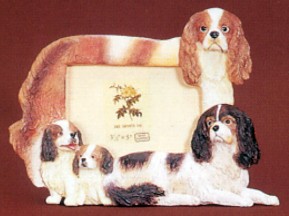 King Charles Cavalier 3-1/2 X 5 Three Dimensional Photo Frame
