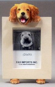 Golden Retriever 2-1/2 X 3-1/2 Three Dimensional Photo Frame