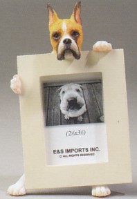 BOXER WITH CROPPED EARS 2-1/2 x 3-1/2 THREE DIMENSIONAL PHOTO FRAME