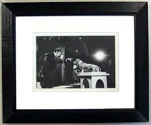 HOUND DOG - ELVIS PRESLEY FRAMED PRINT