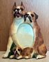 Boxer 3-1/2 X 5 Three Dimensional Photo Frame