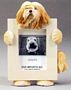 Lhasa Apso 2-1/2 X 3-1/2 Three Dimensional Photo Frame