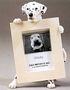 Dalmatian 2-1/2 X 3-1/2 Three Dimensional Photo Frame