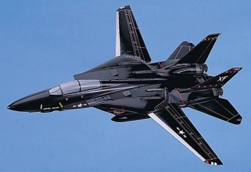 F-14A TOMCAT NAVY (BLACK) SCALE MODEL AIRCRAFT
