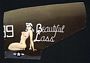 P-38 Beautiful Lass Aluminum Aircraft Nose Art Panel