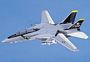 F-14A Tomcat Navy Jolly Roger Scale Model Aircraft