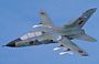 Panavia Tornado Scale Model Aircraft