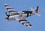 P-47 Thunderbolt Razor Back 
