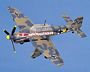 Junkers Ju 87 Stuka Snake Serpent Scale Model Aircraft