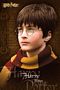 Harry Potter Movie Poster