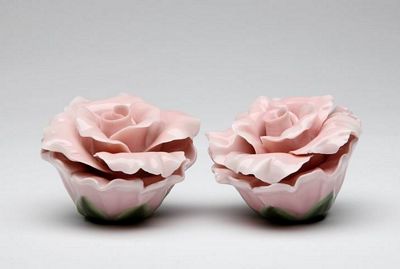 Pink Roses Salt And Pepper Shakers