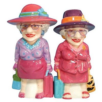 BIDDYS FRIENDS SALT AND PEPPER SHAKERS