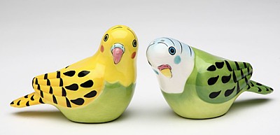 Yellow And Green Parakeets Salt And Pepper Shakers