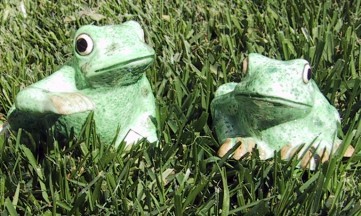 Frogs Salt And Pepper Shakers