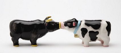 Cow And Bull Kissing Magnetic Salt And Pepper Shakers