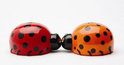 Lovely Lady Bugs Kissing Magnetic Salt And Pepper Shakers