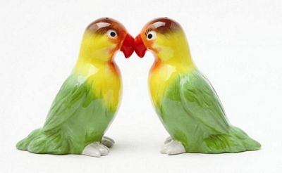 Lovebirds Kissing Magnetic Salt And Pepper Shakers