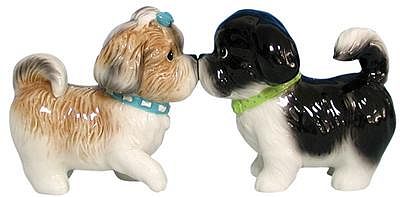 Shih Tzus Kissing 