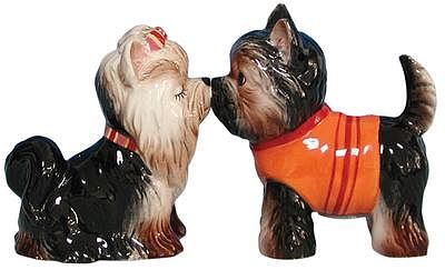 Yorkshire Terriers Kissing 