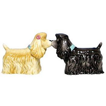 AMERICAN COCKER SPANIEL 