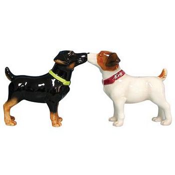 JACK RUSSELL TERRIER 