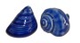 Blue Sea Shell Salt And Pepper Shakers
