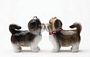 Sweet Shih Tzus Kissing Magnetic Salt And Pepper Shakers