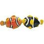 Clown Fish Kissing 