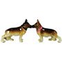 German Shepherds Kissing 