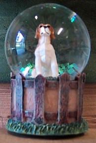 BEAGLE ADULT KENNEL CLUB WATERGLOBE