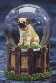PUG ADULT KENNEL CLUB WATERGLOBE